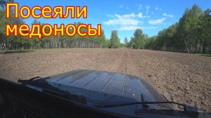 Работы на пасеке. ПОСЕЯЛИ МЕДОНОСЫ! МОРДОВНИК и ФАЦЕЛИЯ
