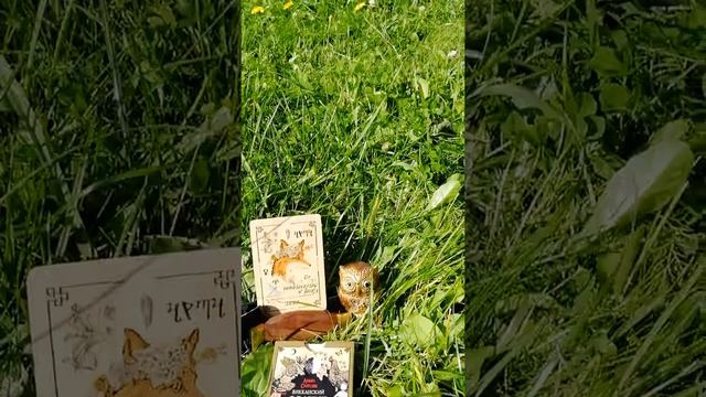 Викканский Оракул Теней. Карта дня "Дева". Изучаем Оракул вместе!))