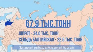 Российские рыбаки выловили почти 4,9 млн тонн рыбы