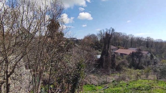 Земля в Сочи. Вид на море и Олимпийский. Село Верхневеселое, Адлер участок для частного дома