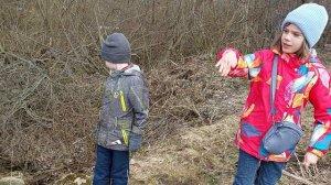 "Облфинотдел"