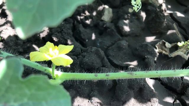 если плохо сейчас, значит потом будет хорошо...🤘 смотреть онлайн