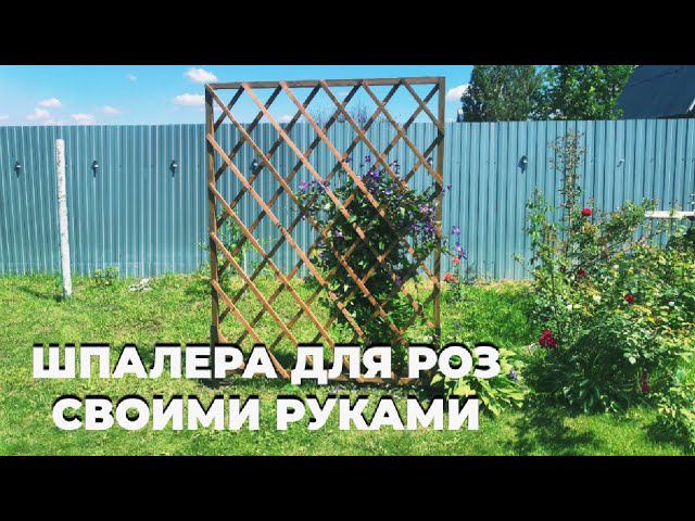 Шпалера для роз своими руками. Плов в казане.