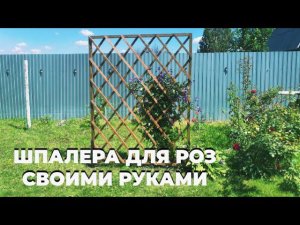 Шпалера для роз своими руками. Плов в казане.