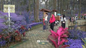 SPESIAL BUSHMAN PRANK 2022 - EDISI TAMAN LAVENDER