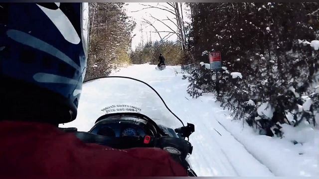 липа смотреть онлайн