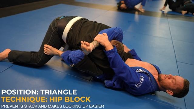White Belt Vs Black Belt BJJ Rolling Commentary | See What The White Belt Does Wrong! смотреть онлайн