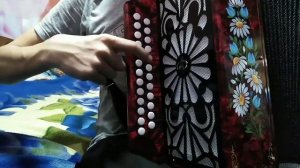 Разбор песни незабудка на гармони (цифры в описании)