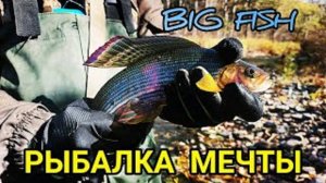 Рыбалка мечты | Лучшая рыбалка на хариуса