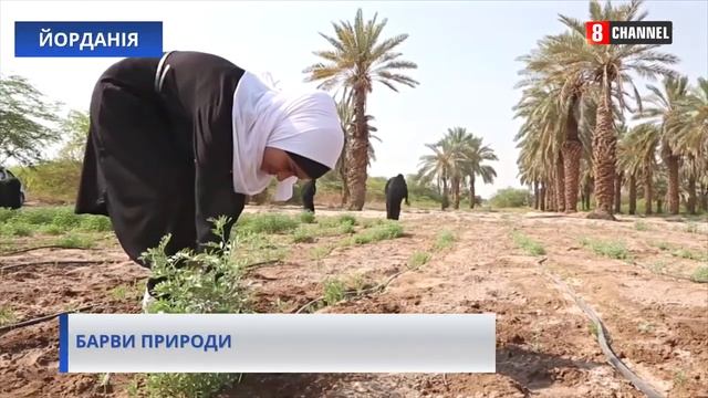 В Йорданії винайшли екологічний спосіб фарбування тканини смотреть онлайн