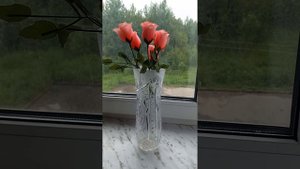 Розовые розы, клип на песню