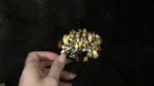 DIY // Украшаю декоративный мини плед из меха своими руками