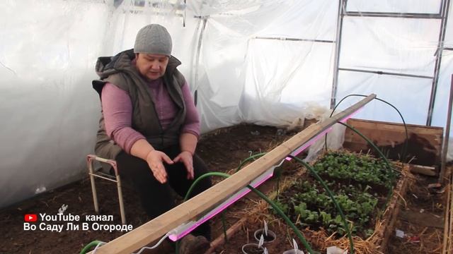 КТО БЫ МОГ ПОДУМАТЬ?! ЧТО Я ВЫРАЩИВАЮ В ТЕПЛИЦЕ ЗИМОЙ. смотреть онлайн
