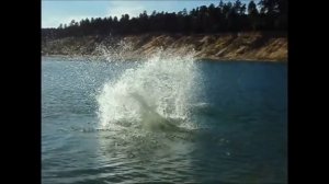 Татарские приколы