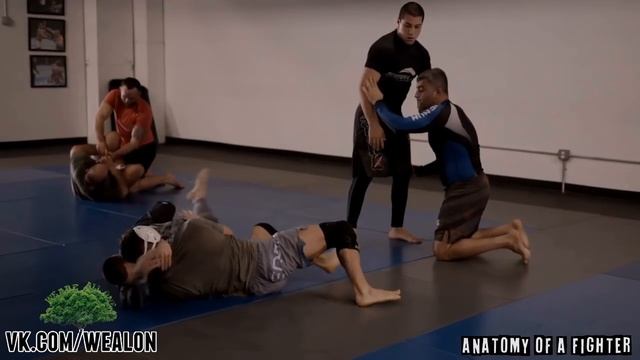 Анатомия бойца - Эл Яквинта четвертая часть