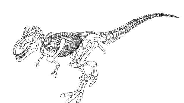 Как нарисовать скелет динозавра видео