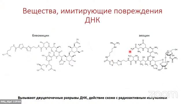 Елена Убогоева 