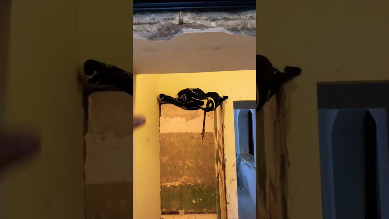 Новая специальность Мастер залипушник! Кто с такими сталкивался? Как Вам? смотреть онлайн