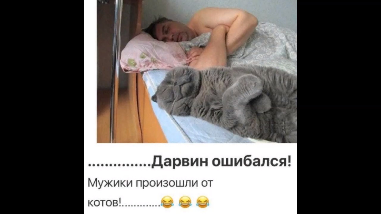 Прикольные и смешные анекдоты 2