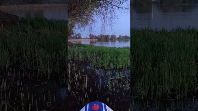 прогулка на сапе #travel #nature #sup #сап #сапборд #boat #lake смотреть онлайн