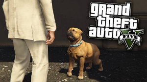 СУВЕНИР - КЕРРИ | ПРОХОЖДЕНИЕ GTA 5 БЕЗ КОММЕНТАРИЕВ