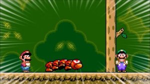 Super Mario World but it's a Co-op