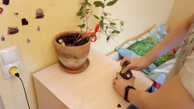 Как сделать комнату уютнее☺️.