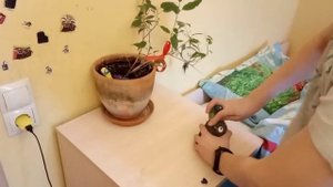 Как сделать комнату уютнее☺️.