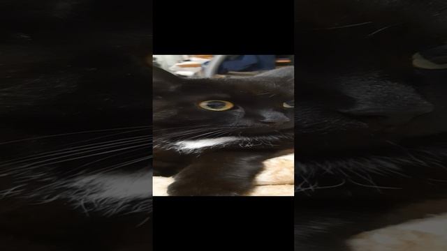 Какие мы красивые,какие мы хорошие!!!🥰💋😍😻❤️