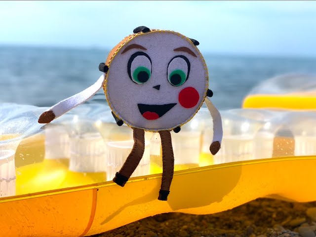 Чем заняться на море? 5 крутых занятий!!! смотреть онлайн