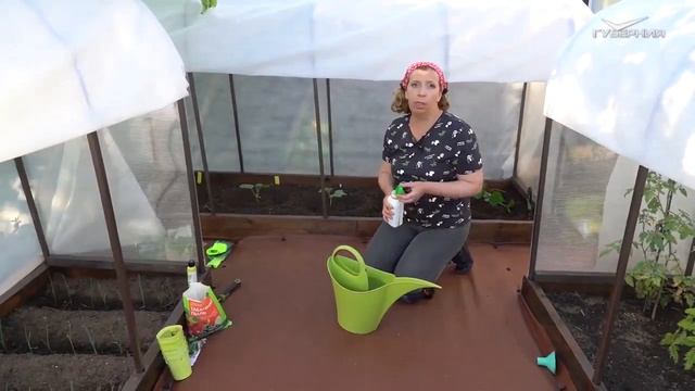 Сажаем огурцы и томаты в открытый грунт смотреть онлайн