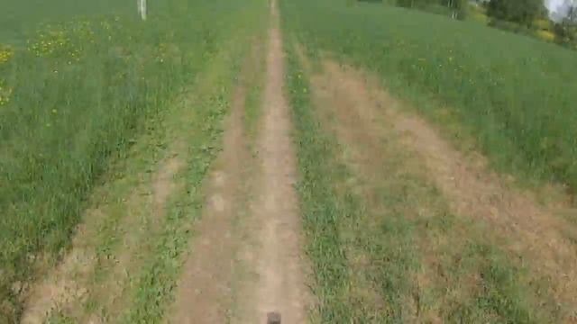 На китайце по полям смотреть онлайн