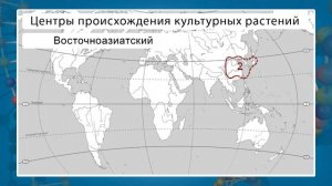 Центры происхождения культурных растений. Видеоурок по биологии 9 класс