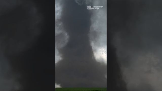 Large EF4 tornado touches down in central #Alberta | #shorts #tornado #canada