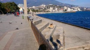 Ялта в феврале