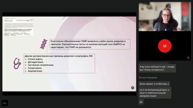 Что? Где? Когда? Кардиомиопатии кошек и где они обитают смотреть онлайн