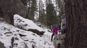 Витязь. Туда и обратно