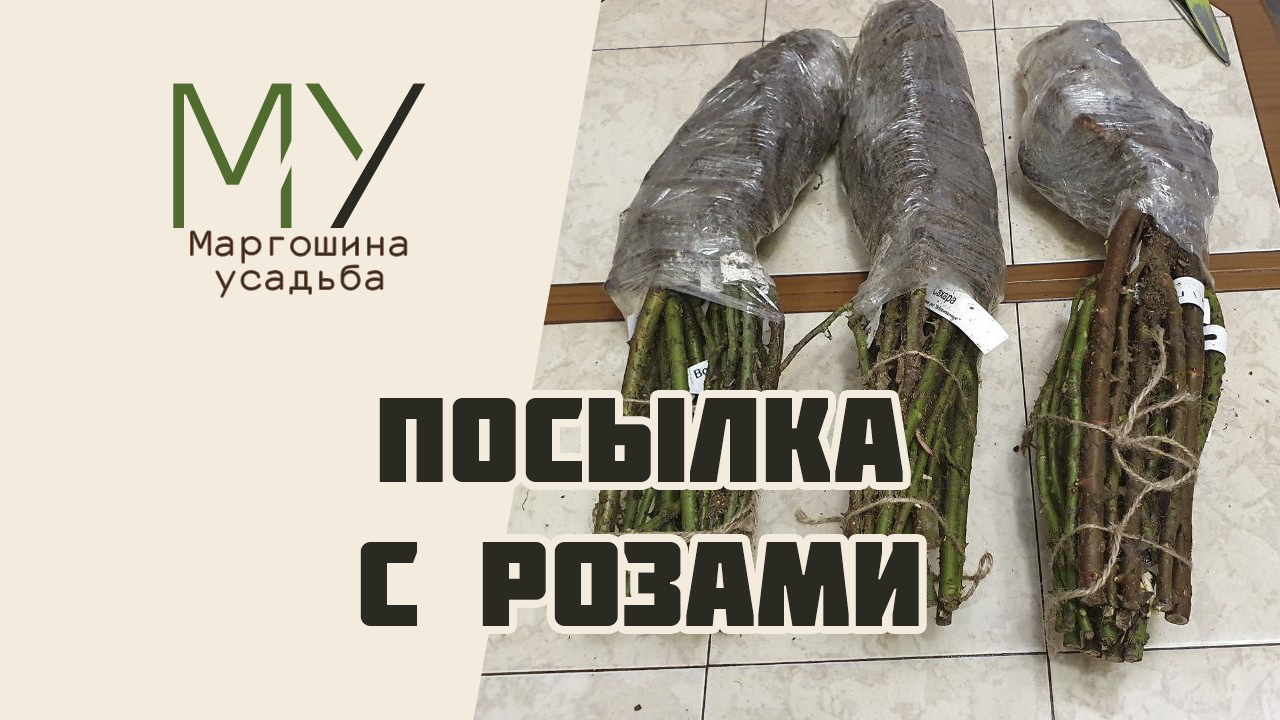 Распаковка посылки с розами