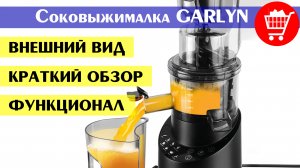 Соковыжималка шнековая GARLYN J-600 Max (краткий обзор, функционал, внешний вид)