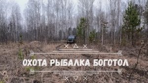 СИБИРСКАЯ КОСУЛЯ кадры с фотоловушки