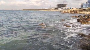 Весеннее черное море, Севастополь март