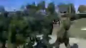 Елань 2008 #елань