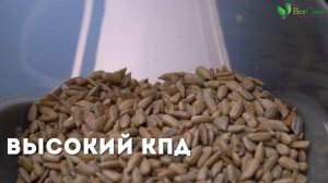 Холодный отжим масла в домашнем шнековом маслопрессе L'equip Lop-G3