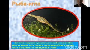 обитатели морей и океанов .1 класс