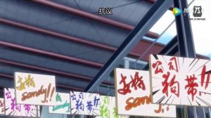 Аниме Шоколад Купидона (Два сезона подряд)