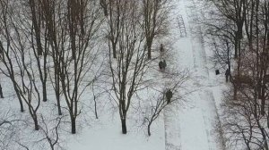 КАК УЗНАТЬ ВОЛЮ БОЖЬЮ? Для современного человека. Пестов