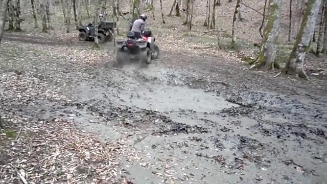 сочи квадро хонда трх 500 смотреть онлайн