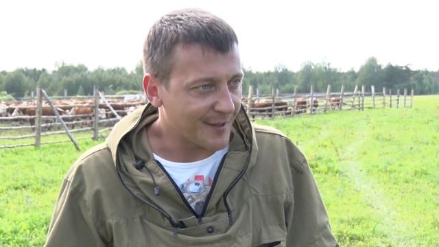 На ферме в Березовке внедрили современную систему учета стада смотреть онлайн