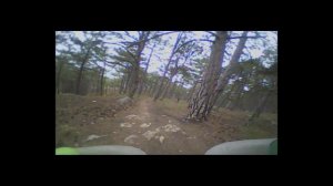 FPV на Whoop в лесу