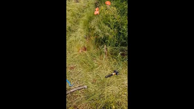 Мои первые работы в деревне. смотреть онлайн